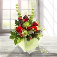 Lime &amp; Red Gift Bag Bouquet