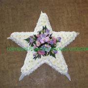 Five Point Star