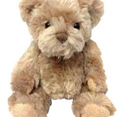 Ted The Bear
