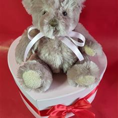 Minnie Teddy