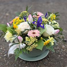 Time for Tea! Sage Green