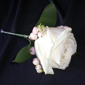 fwthumbCIMG3032.jpg