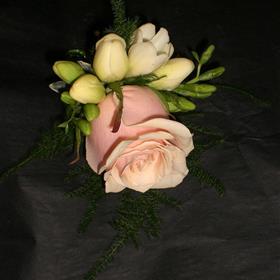 fwthumbCIMG3246.jpg