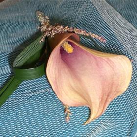 fwthumbCallaButtonhole.jpg