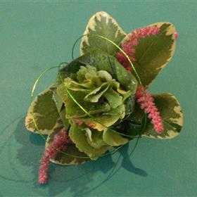 fwthumbHydrangeaCorsage.jpg