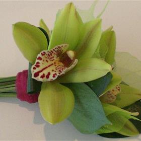 fwthumbLimeOrchidCorsage.jpg