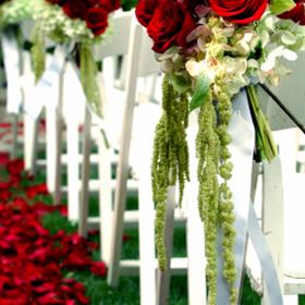 fwthumbRedRoseAisle.jpg